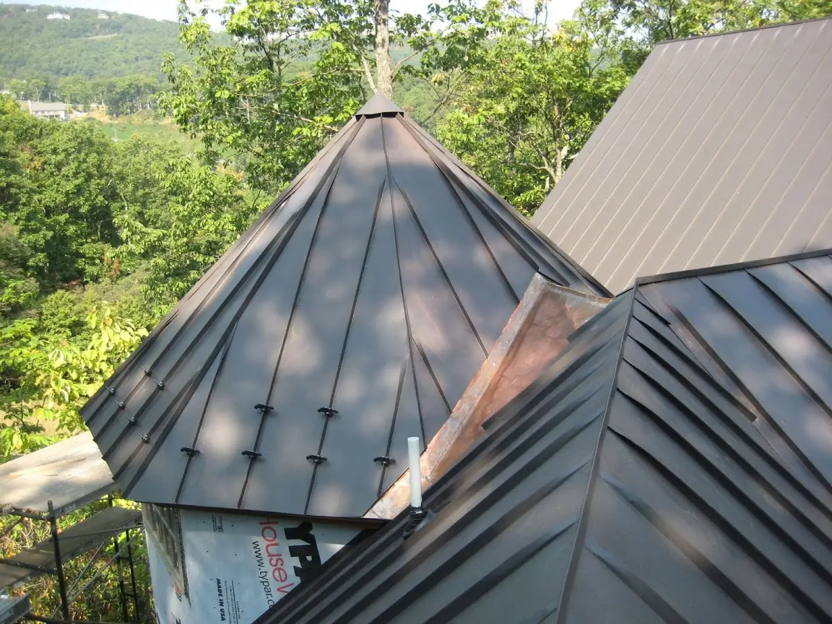 Professional Gutter Cleaning by Craftsman Roofing in Larkspur